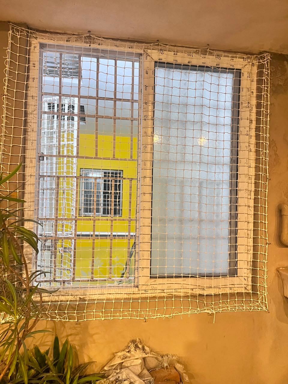 Window Pigeon Nets