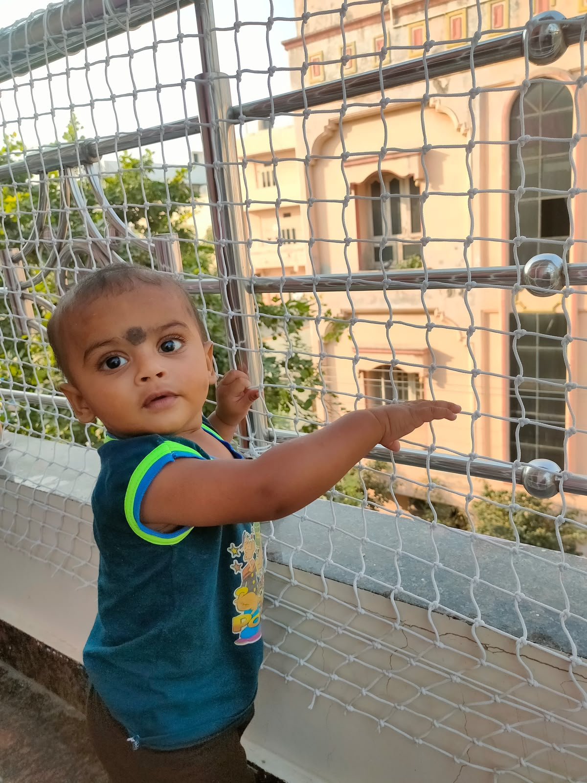 Balcony safety services Hyderabad