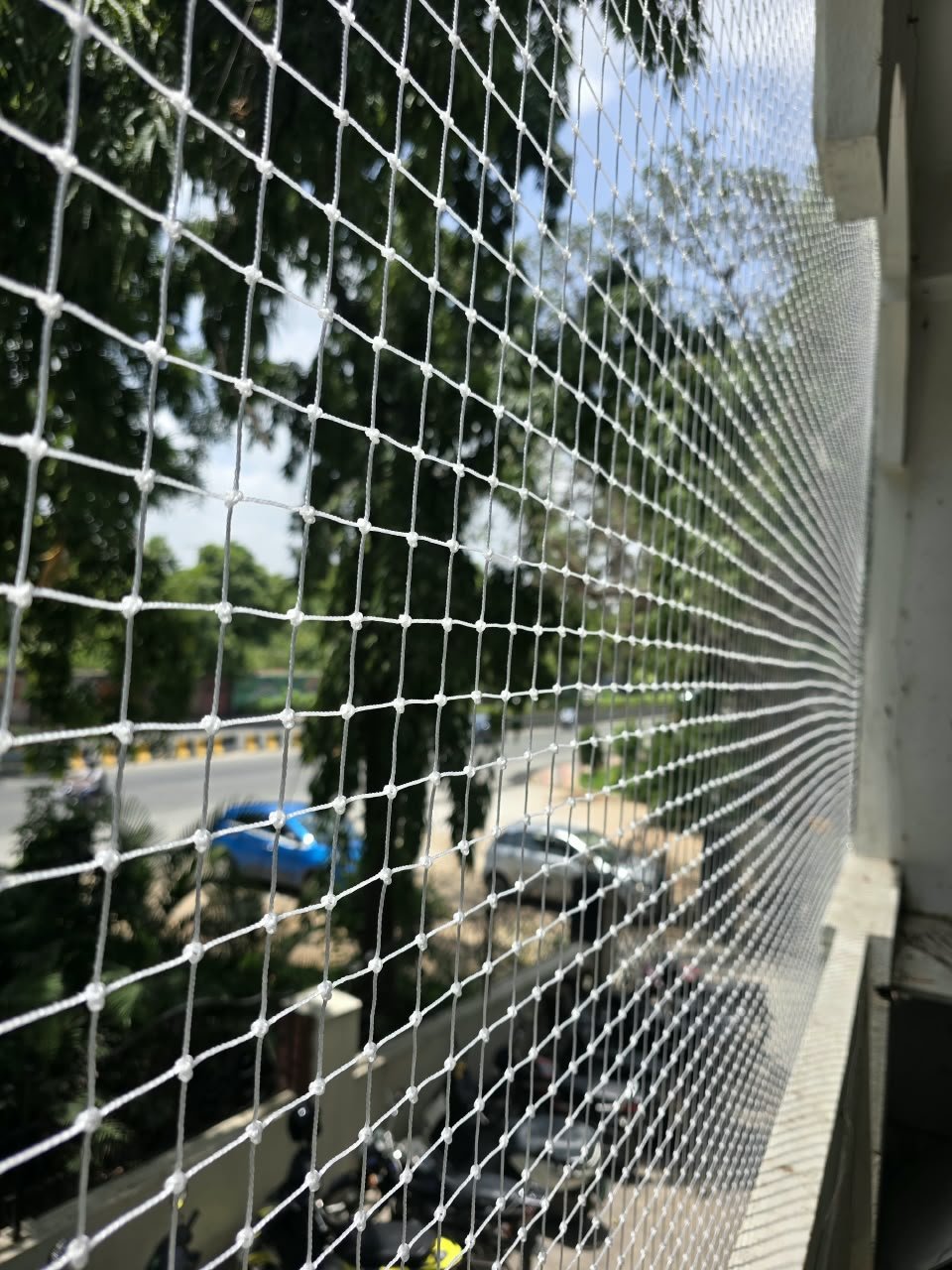 Bird Nets in Tellapur for Balconies and Apartments