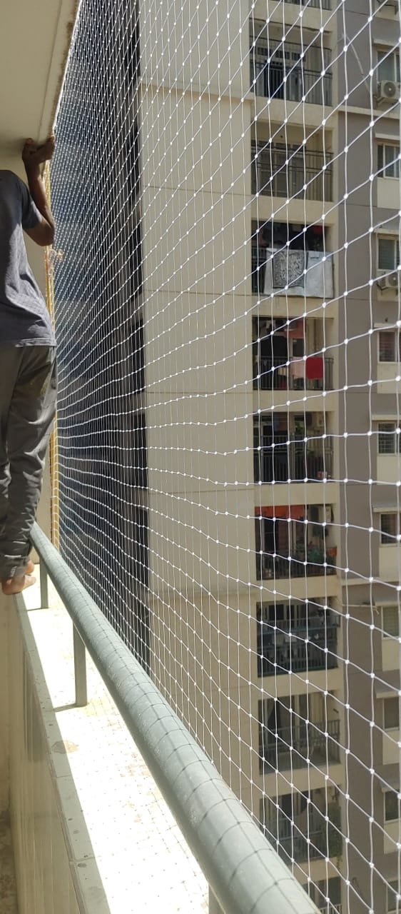 Pigeon Net Services Kondapur